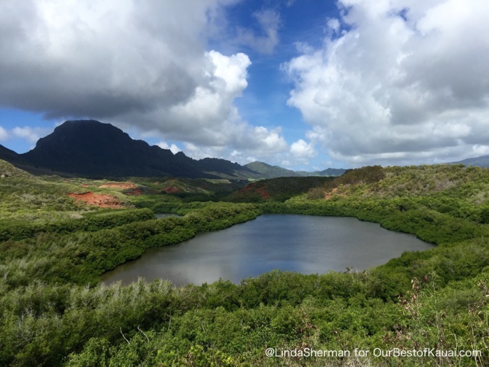 View from the outlook on Kipu Road. Alekoko Menehune Fish Pond photo by Linda Sherman